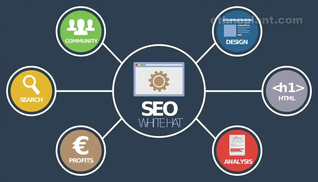 Off-Page SEO Audit